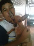 Rex