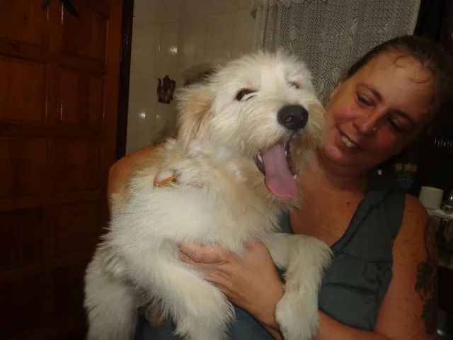 Cachorro ra a  idade 7 a 11 meses nome Não sei
