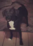 Salomé