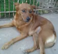 Lili