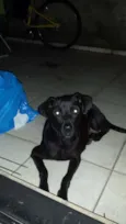Não tem