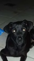 Não tem