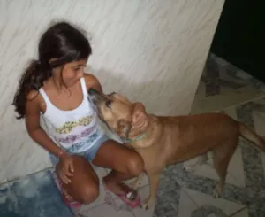 Cachorro raça SRD idade 4 anos nome Dora