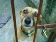Dora