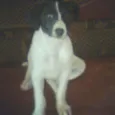 Bagunça