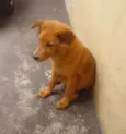Luck