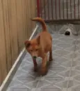 Luck