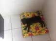 Preta 