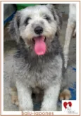 BALU