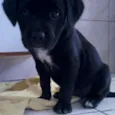 kika