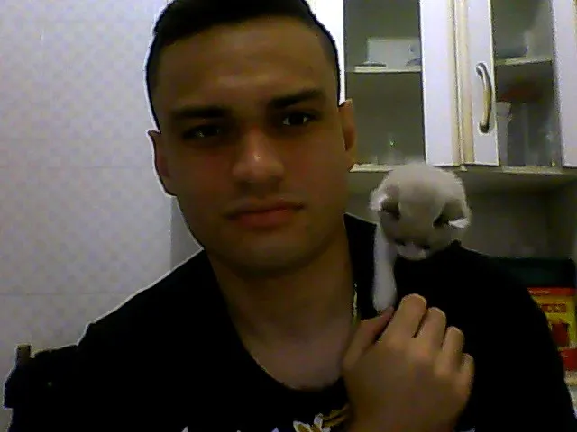 Gato ra a vira lata idade Abaixo de 2 meses nome yasmin