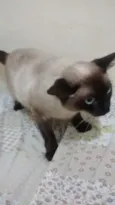 Sophia