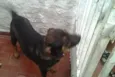 Nick