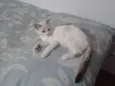 Nina