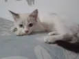Nina
