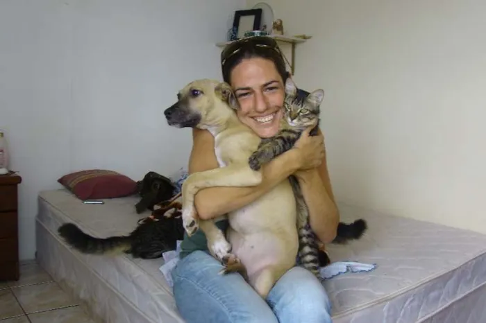 Gato ra a SRD idade 7 a 11 meses nome Helton e Juju