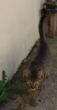não sei