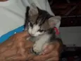 ALDO