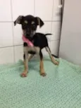 Marla