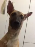 Belinha