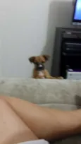 Nega