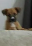 Nega