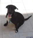Bob