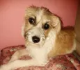 Lili