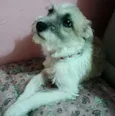 Lili