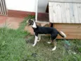 Luke