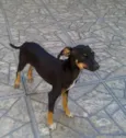Samy e Juju