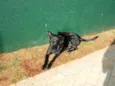 Cirilo