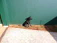 Cirilo