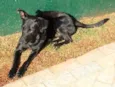 Cirilo