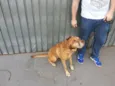 Duda