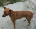 Neguinha