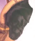 Não sei