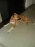 não sei