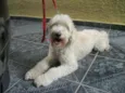 JULLY