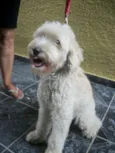 JULLY