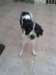Bill