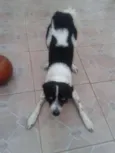 Bill