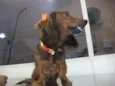 Lola