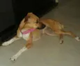 não sei