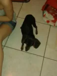 ??????