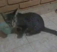 Netuno