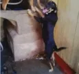 Negão