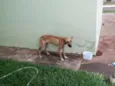 TICO E TECO