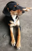 Meg