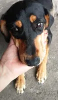 Meg